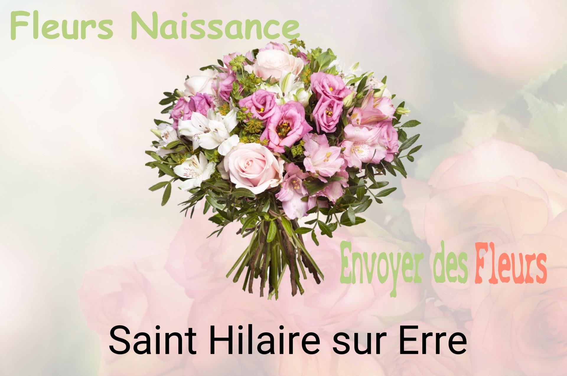 Bouquet de fleurs de naissance livré à Saint-Hilaire-sur-Erre