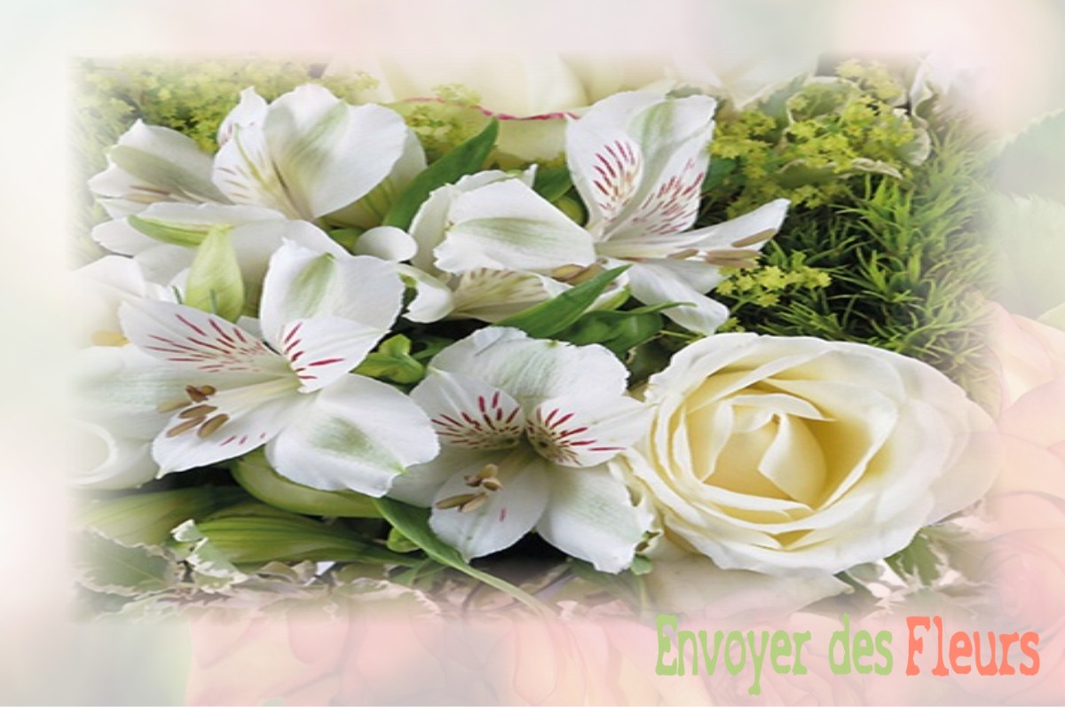 envoyer des fleurs à à SAINT-HILAIRE-SUR-ERRE